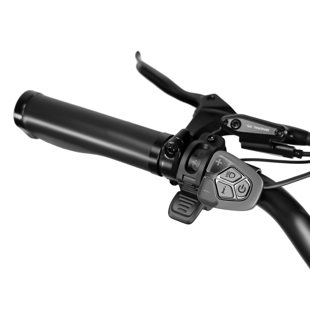 Rattan Sequoia Fat Tire 3-Speed 48V 1200W Electric Bike