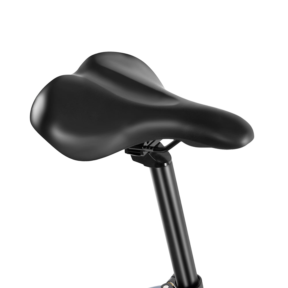 Rattan Sequoia Fat Tire 3-Speed 48V 1200W Electric Bike