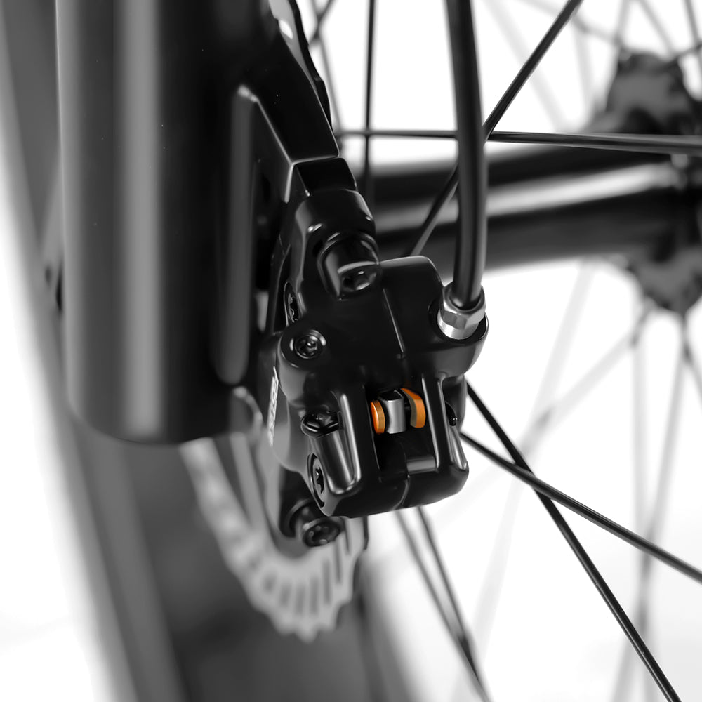 Rattan Sequoia Fat Tire 3-Speed 48V 1200W Electric Bike