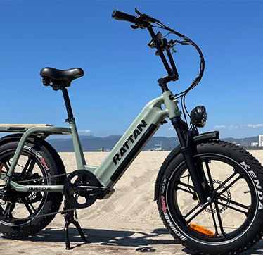 Rattan Quercus Fat Tire 3-speed 1200W Electric Bike