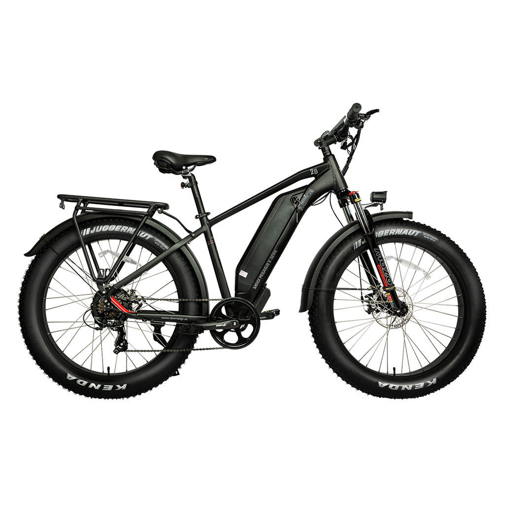 DWMEIGI Pegasus 750W 48V/16Ah All Terrain Step-Over Fat Tire Mountain Electric Bike