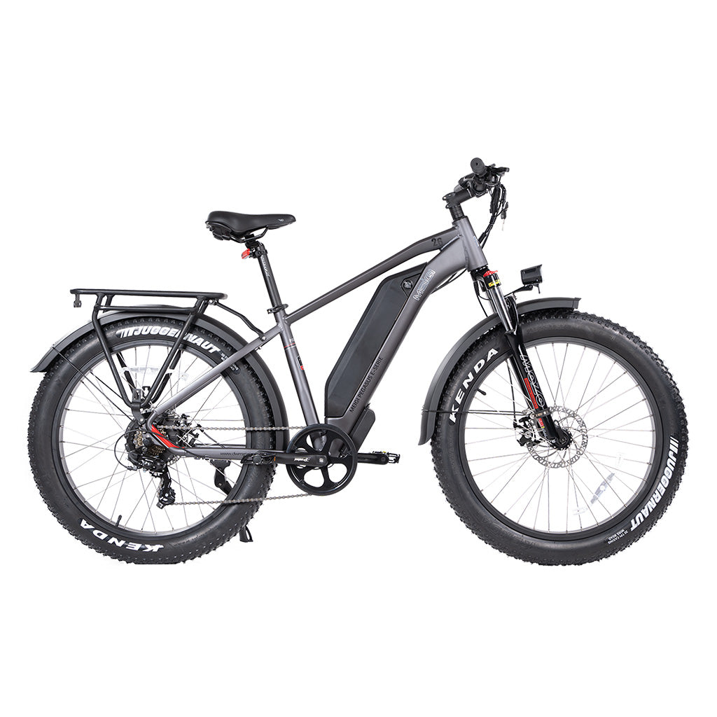 DWMEIGI Pegasus 750W 48V/16Ah All Terrain Step-Over Fat Tire Mountain Electric Bike
