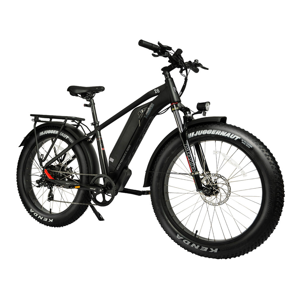 DWMEIGI Pegasus 750W 48V/16Ah All Terrain Step-Over Fat Tire Mountain Electric Bike