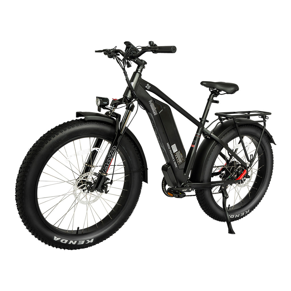 DWMEIGI Pegasus 750W 48V/16Ah All Terrain Step-Over Fat Tire Mountain Electric Bike