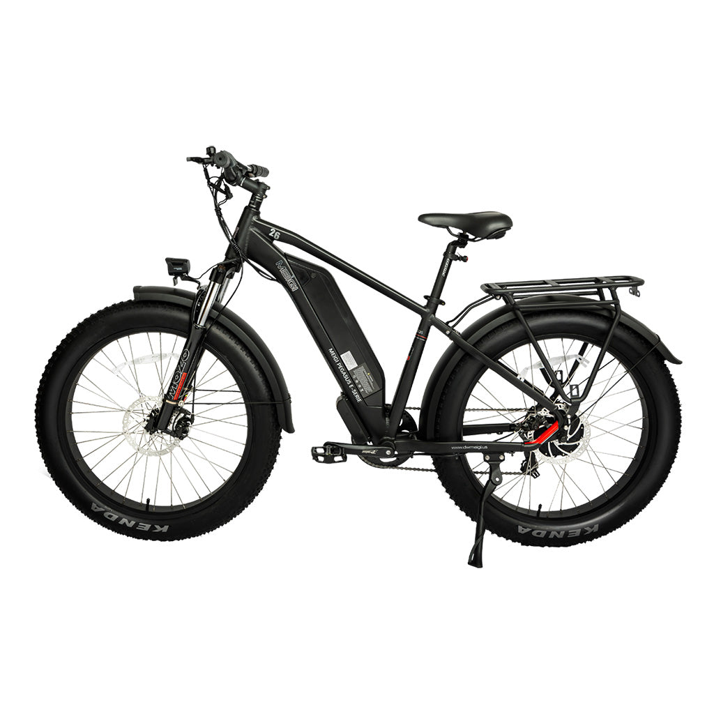 DWMEIGI Pegasus 750W 48V/16Ah All Terrain Step-Over Fat Tire Mountain Electric Bike