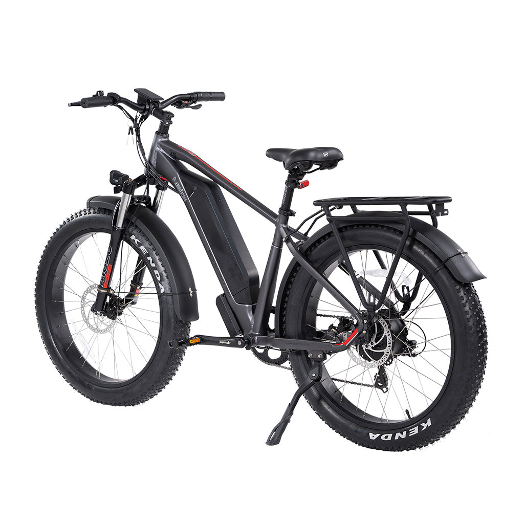 DWMEIGI Pegasus 750W 48V/16Ah All Terrain Step-Over Fat Tire Mountain Electric Bike