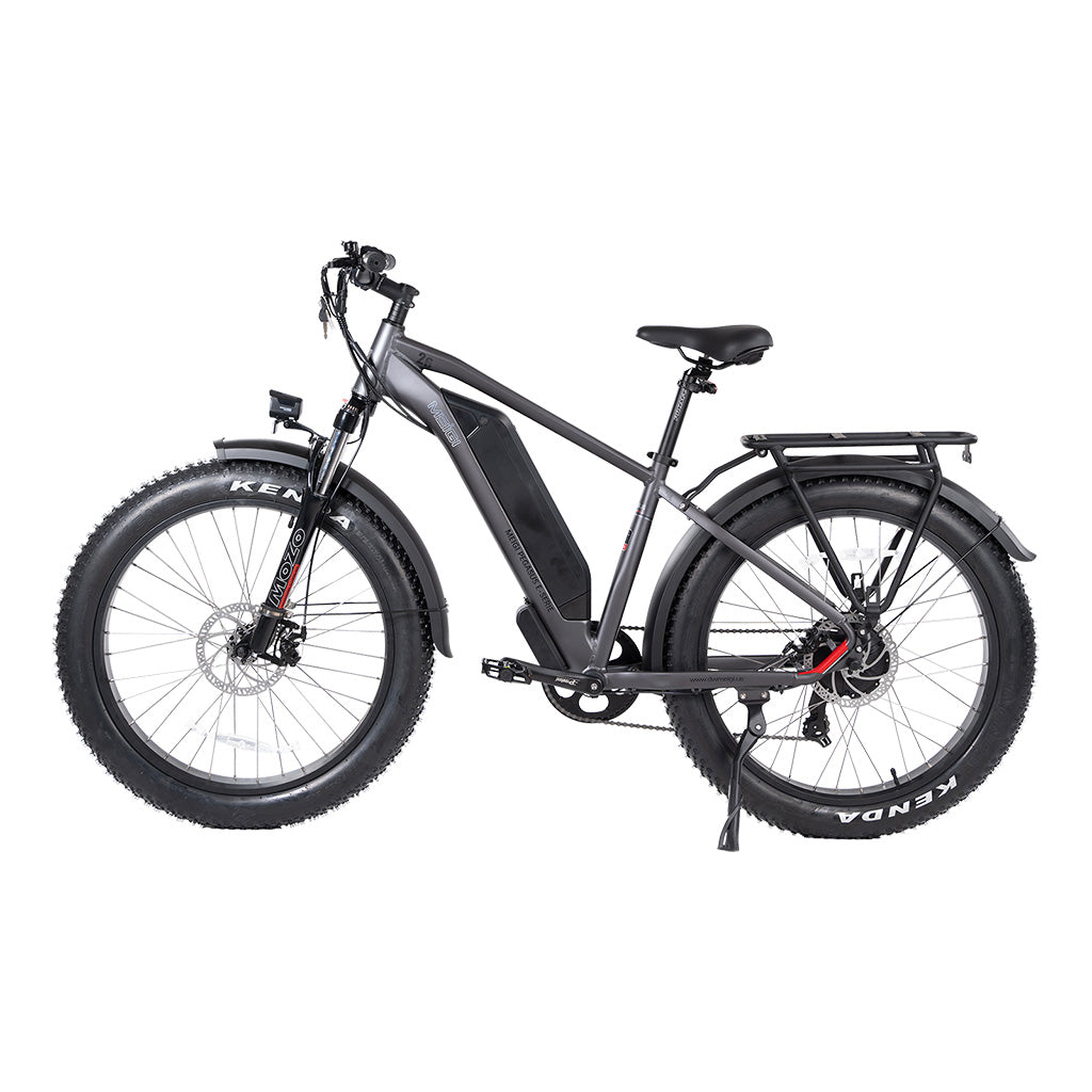 DWMEIGI Pegasus 750W 48V/16Ah All Terrain Step-Over Fat Tire Mountain Electric Bike