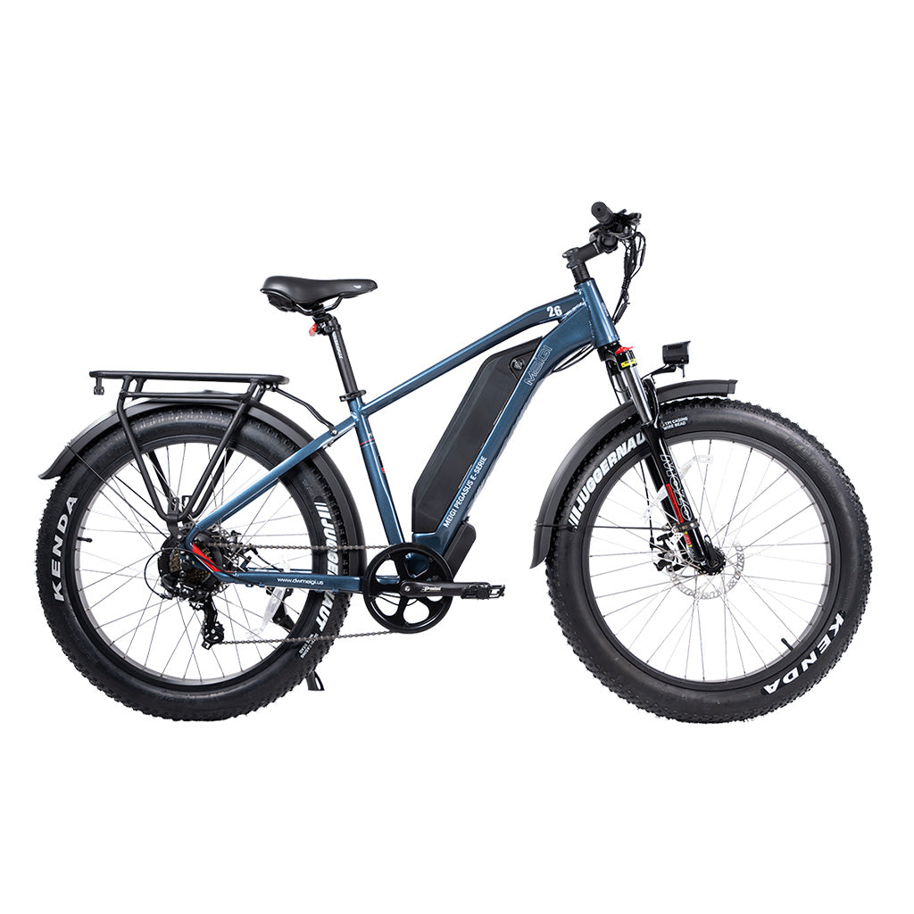 DWMEIGI Pegasus 750W 48V/16Ah All Terrain Step-Over Fat Tire Mountain Electric Bike