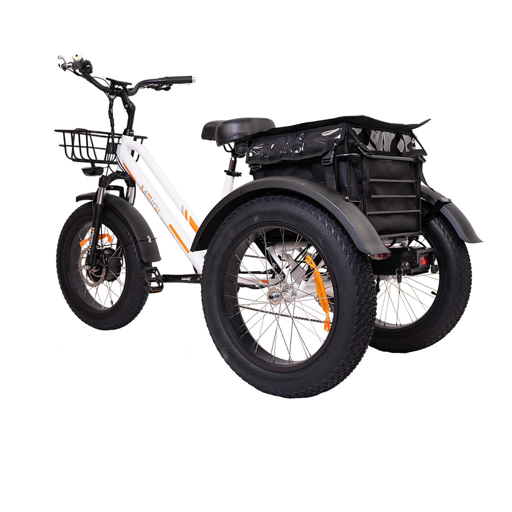 DWMEIGI Zeus MG1703 750W 48V/18.2Ah Fat Tire Electric Trike