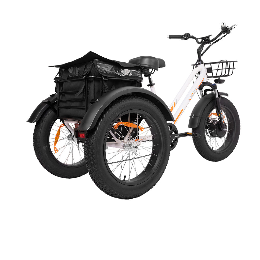 DWMEIGI Zeus MG1703 750W 48V/18.2Ah Fat Tire Electric Trike