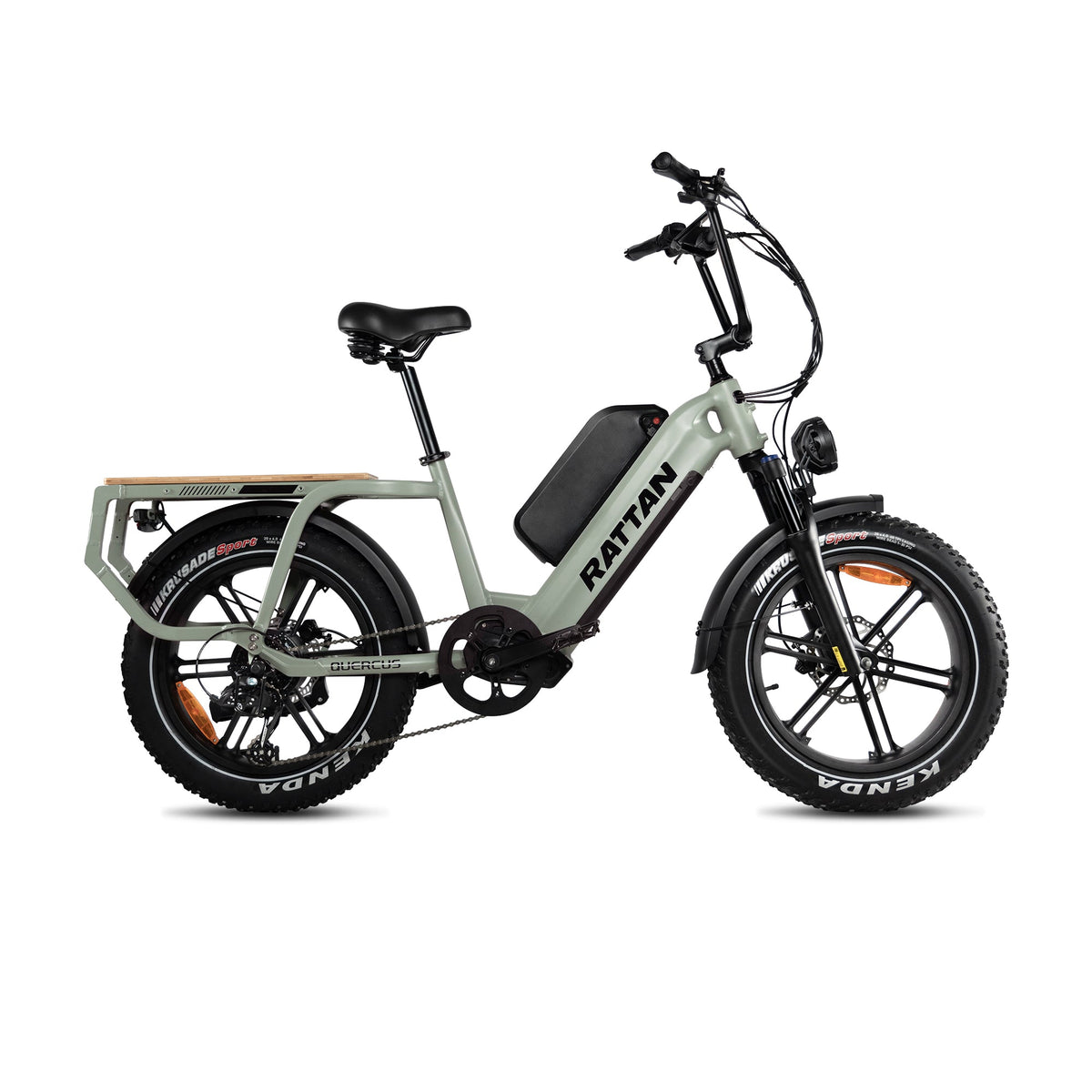 Rattan Quercus Fat Tire 3-speed 1200W Electric Bike