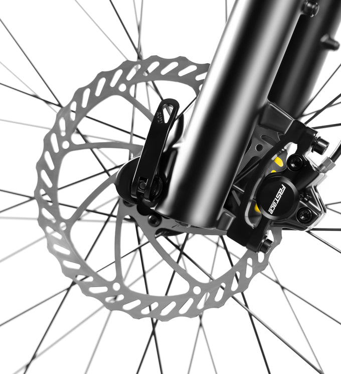 Rattan Sequoia Fat Tire 3-Speed 48V 1200W Electric Bike