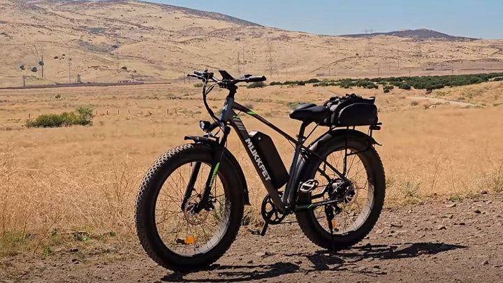 Mukkpet Suburban 750W Fat Tire  Electric bike
