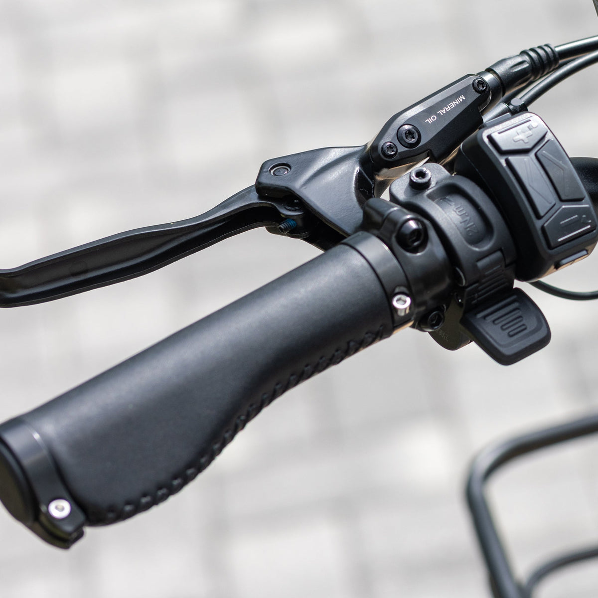 Rattan Quercus Fat Tire 3-speed 1200W Electric Bike