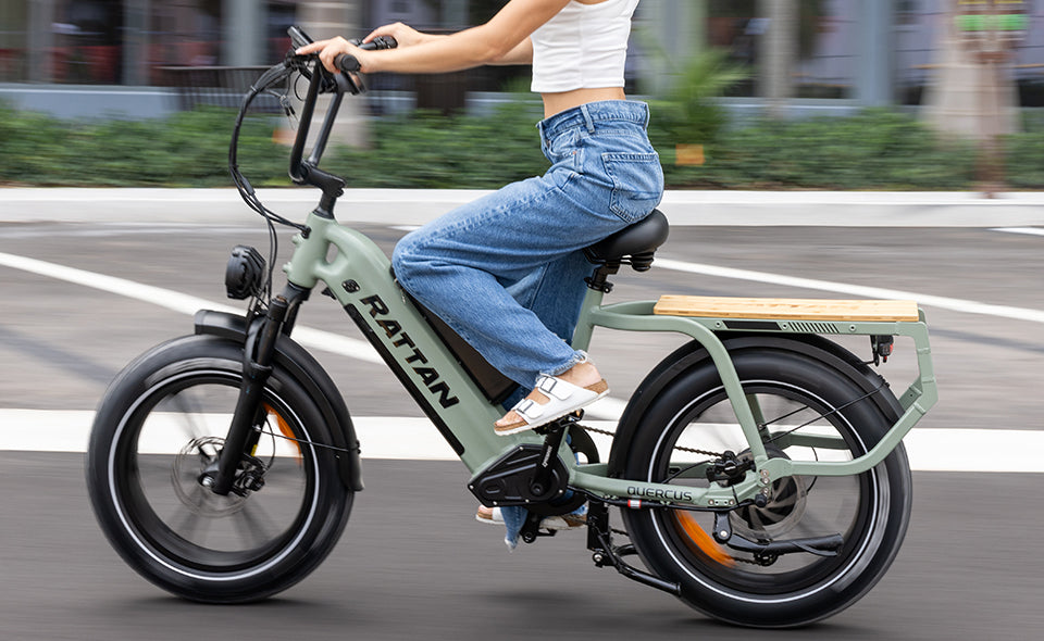 Rattan Quercus Fat Tire 3-speed 1200W Electric Bike