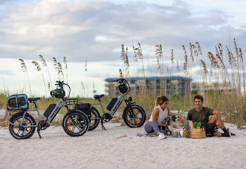 Rattan Quercus Fat Tire 3-speed 1200W Electric Bike