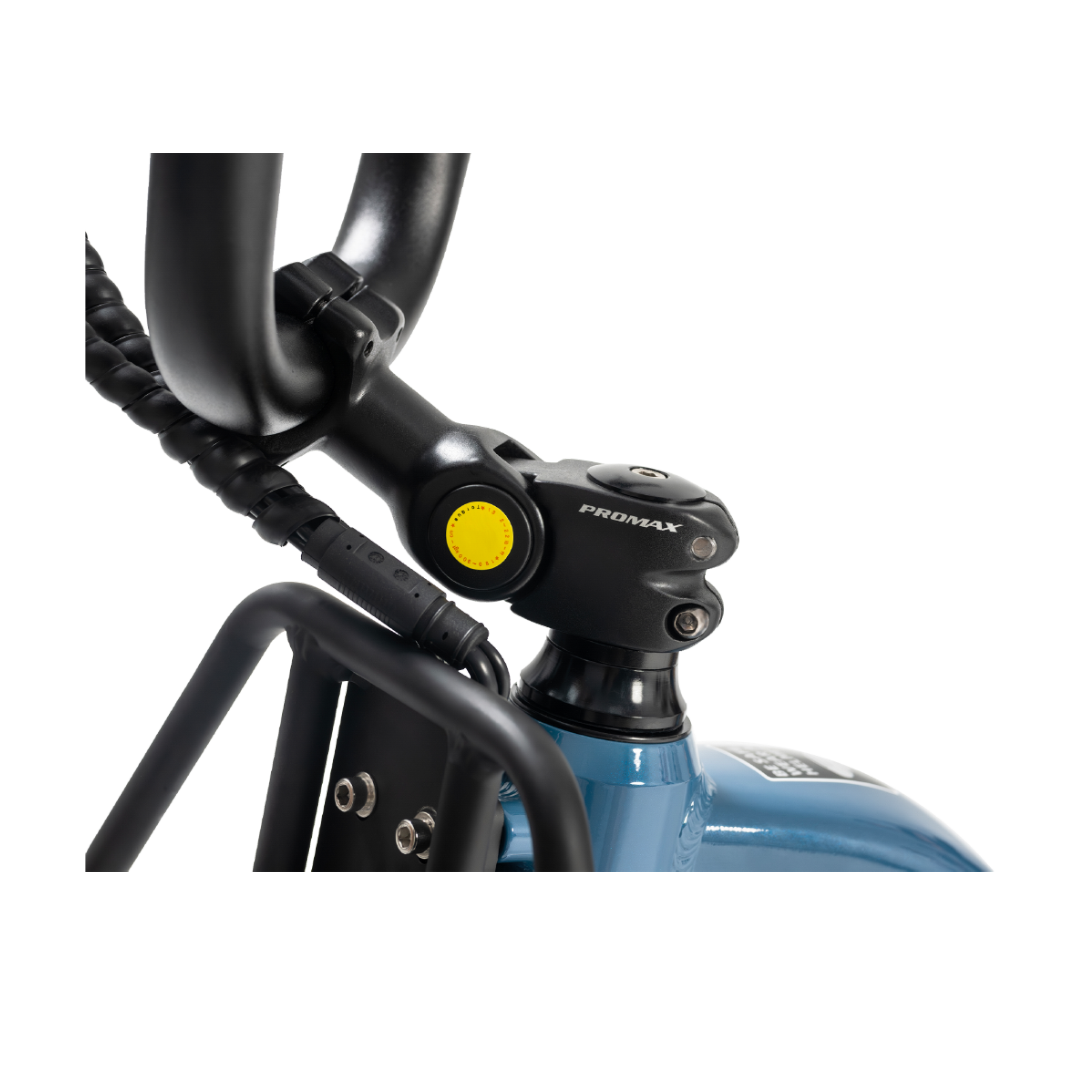 Revi Bikes Flex 48V 750W Electric Bike