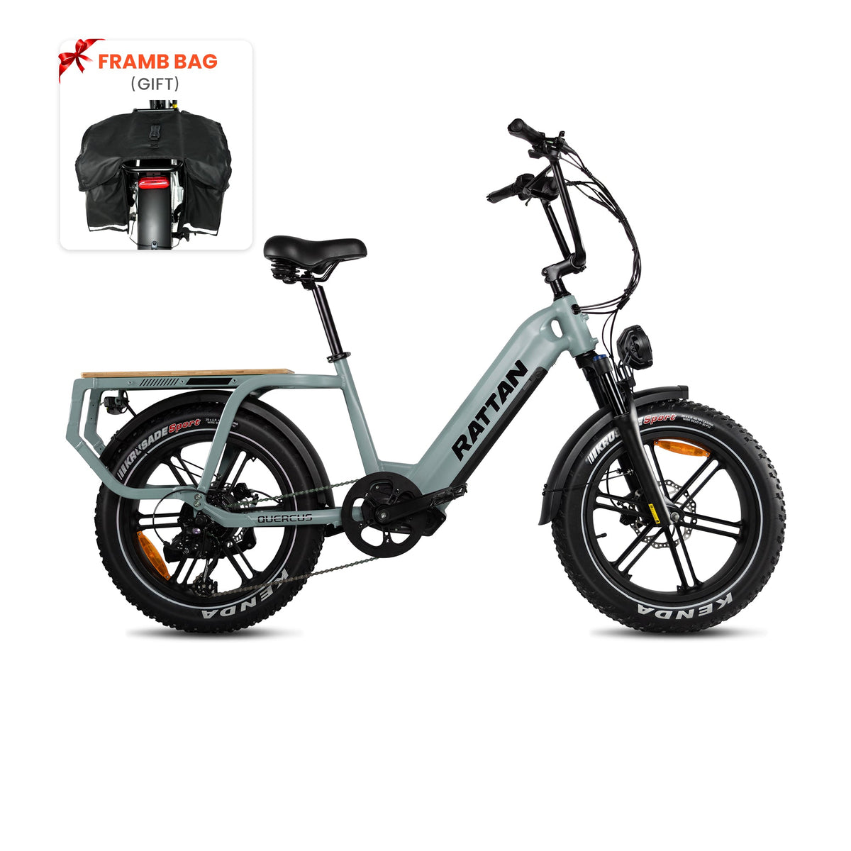 Rattan fat best sale tire ebike