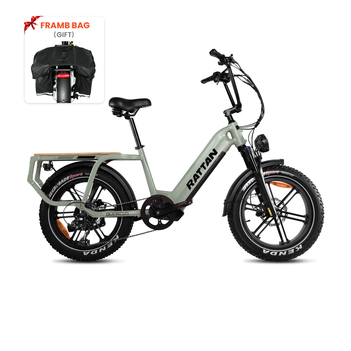 Rattan Quercus Fat Tire 3-speed 1200W Electric Bike