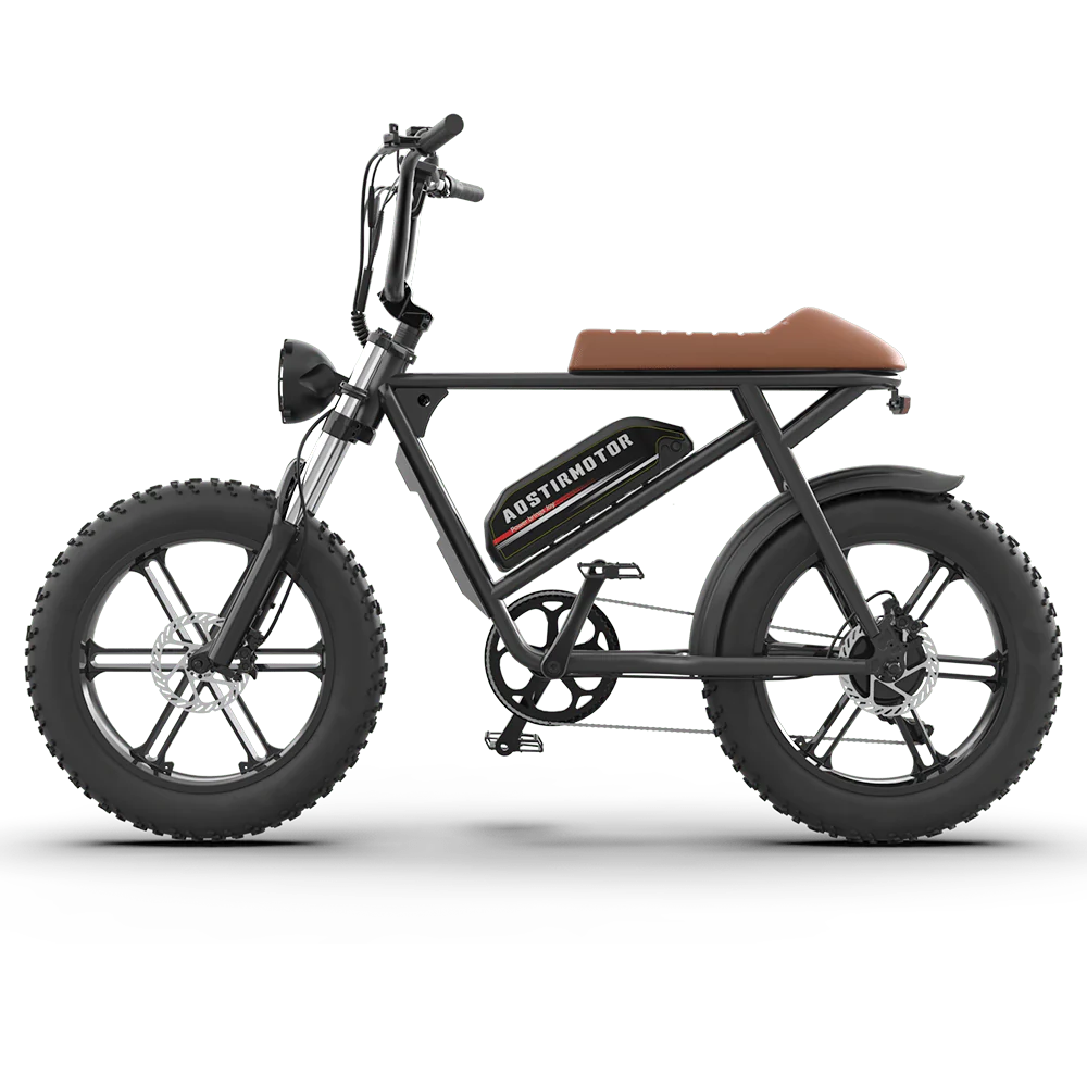 Aostirmotor Storm 750W 48V Fat Tire Electric Bike Zoom Electric