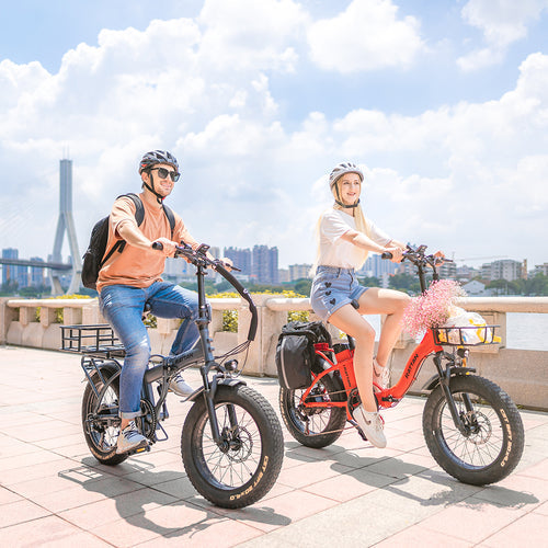 Rattan LM 750W 48V Folding Fat Tire Electric Bike