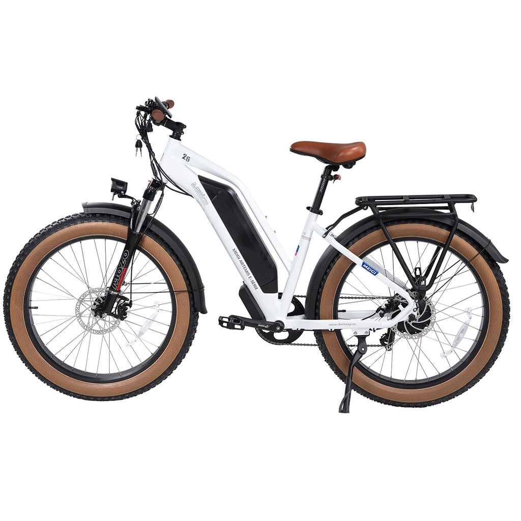 DWMEIGI Artemis 750W 48V/16Ah All Terrain Step-Through Fat Tire Mountain Electric Bike
