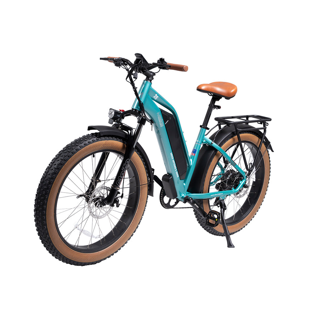 DWMEIGI Artemis 750W 48V/16Ah All Terrain Step-Through Fat Tire Mountain Electric Bike