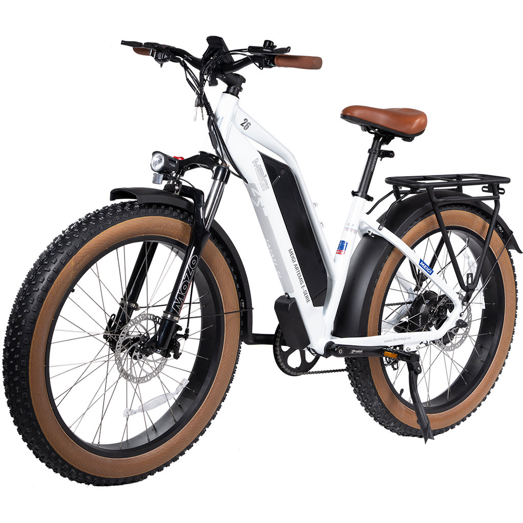 DWMEIGI Artemis 750W 48V/16Ah All Terrain Step-Through Fat Tire Mountain Electric Bike