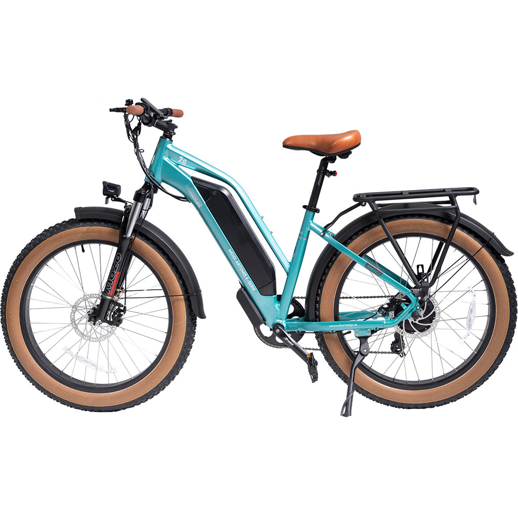 DWMEIGI Artemis 750W 48V/16Ah All Terrain Step-Through Fat Tire Mountain Electric Bike