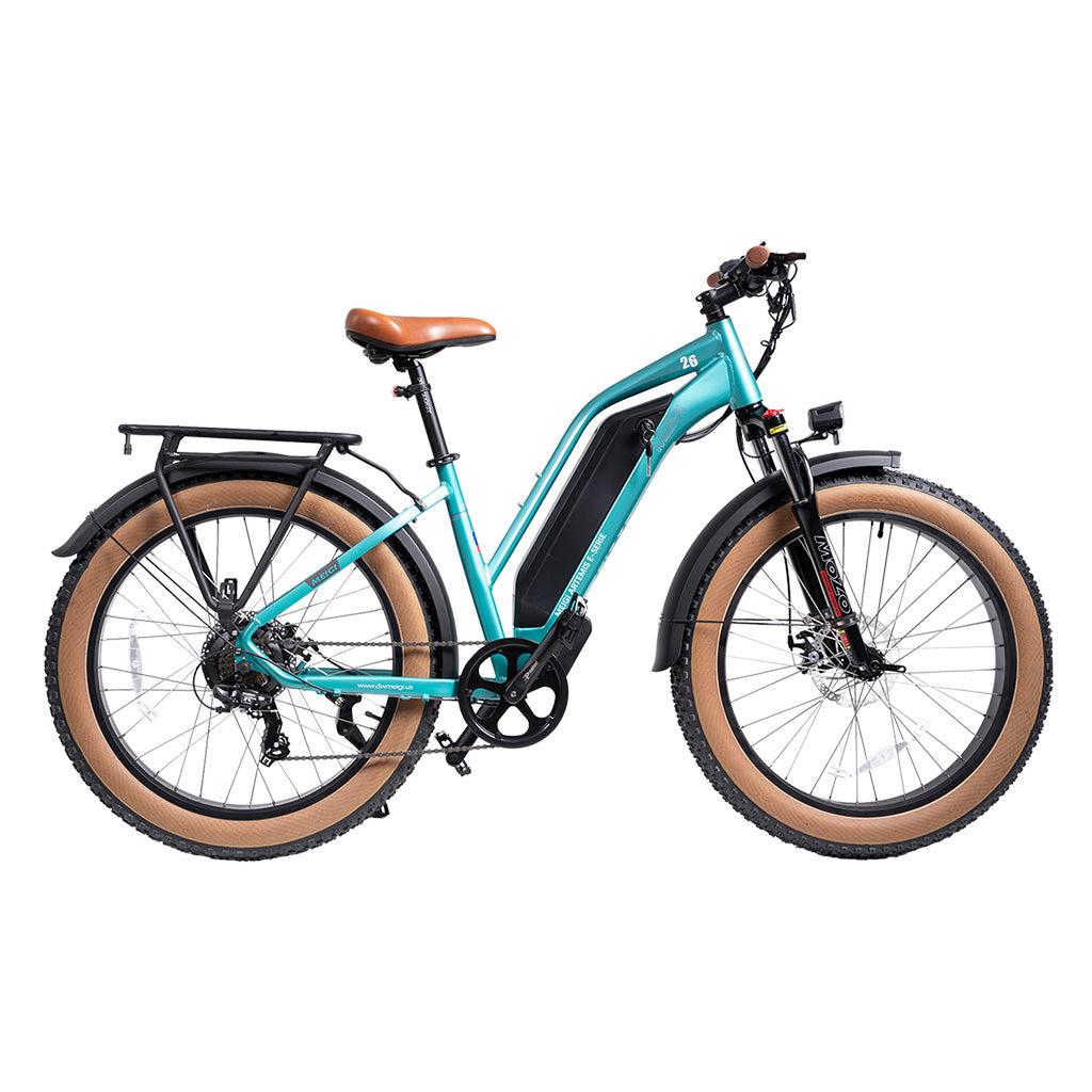 DWMEIGI Artemis 750W 48V/16Ah All Terrain Step-Through Fat Tire Mountain Electric Bike