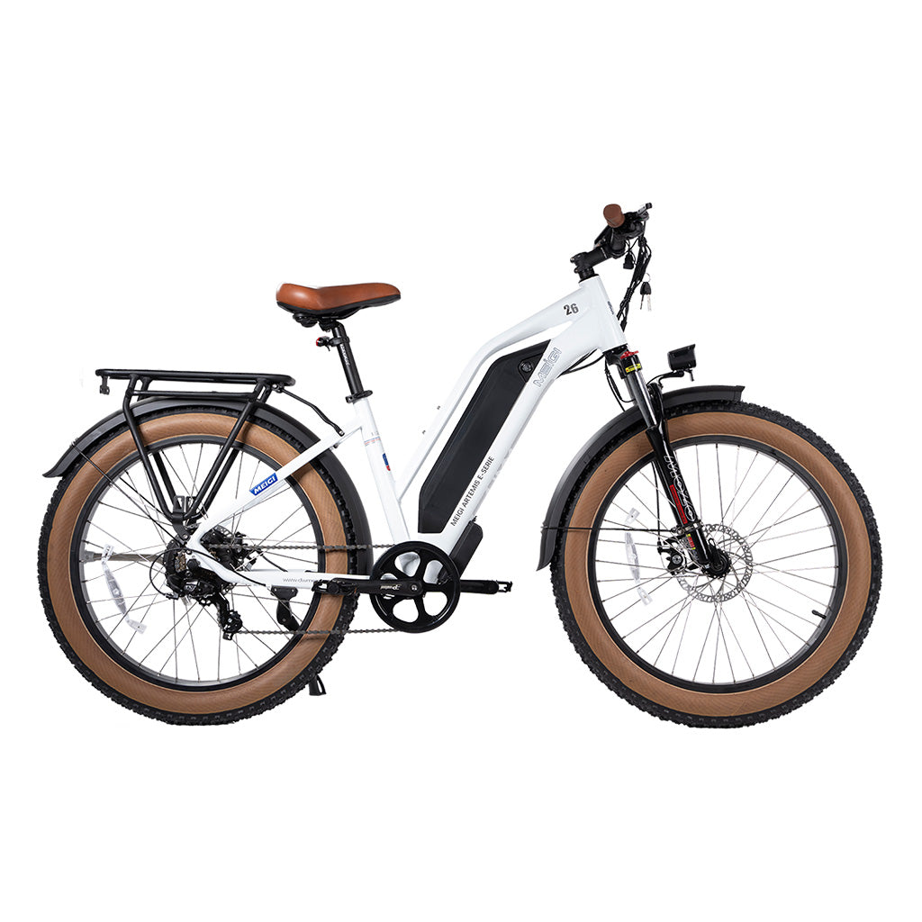 DWMEIGI Artemis 750W 48V/16Ah All Terrain Step-Through Fat Tire Mountain Electric Bike