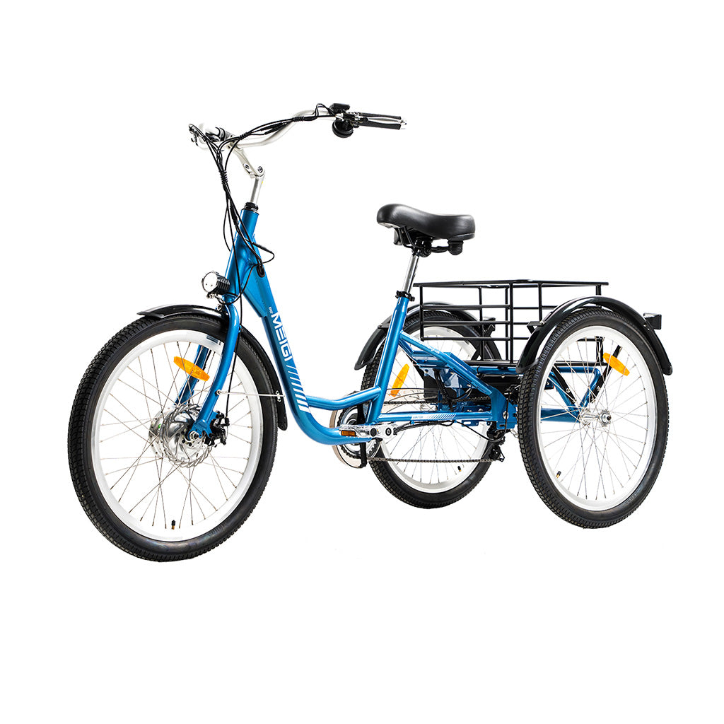 DWMEIGI Hera MG708 350W 36V/15Ah Electric Tricycle