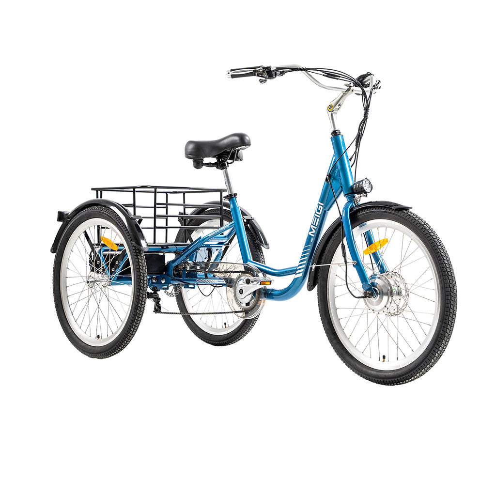 DWMEIGI Hera MG708 350W 36V/15Ah Electric Tricycle