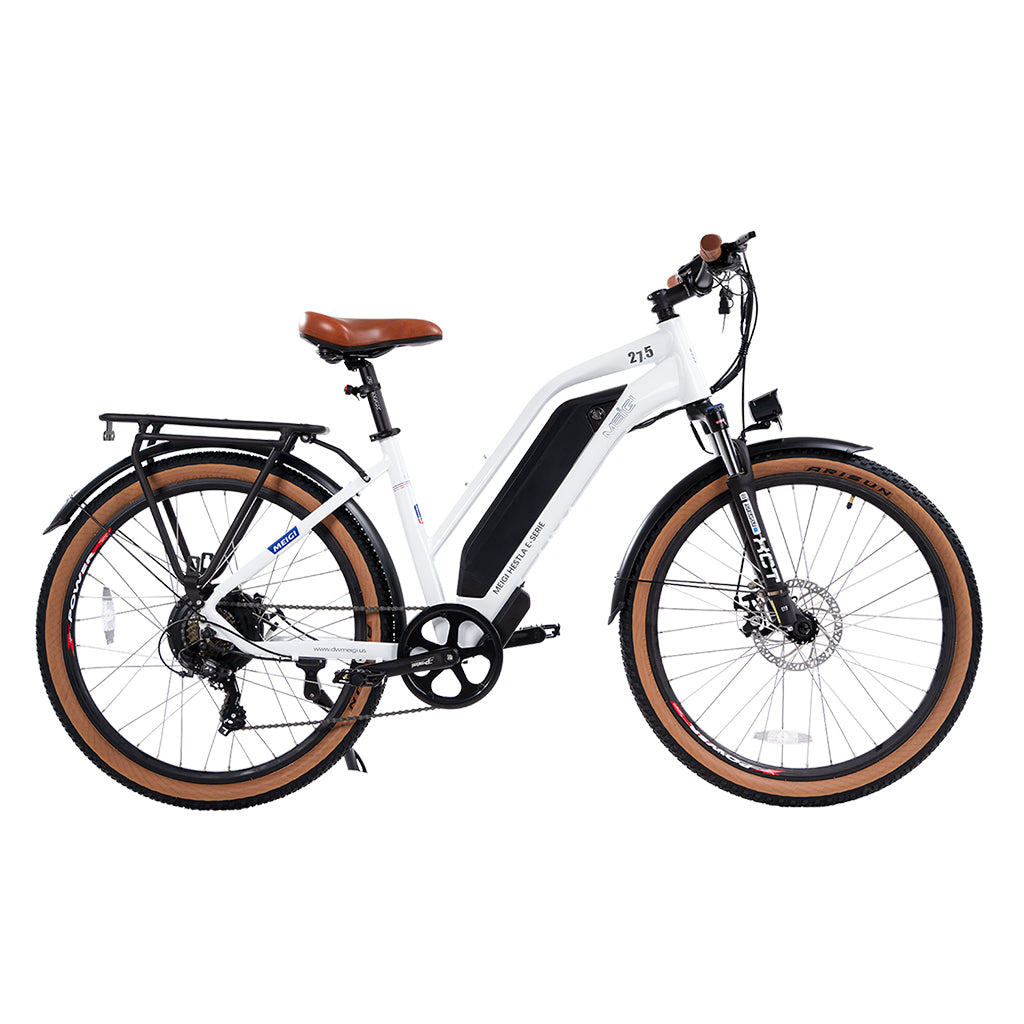 DWMEIGI Hestia 750W 48V-13Ah Step Through Electric Commuter Bike