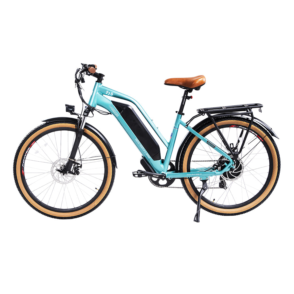 DWMEIGI Hestia 750W 48V-13Ah Step Through Electric Commuter Bike