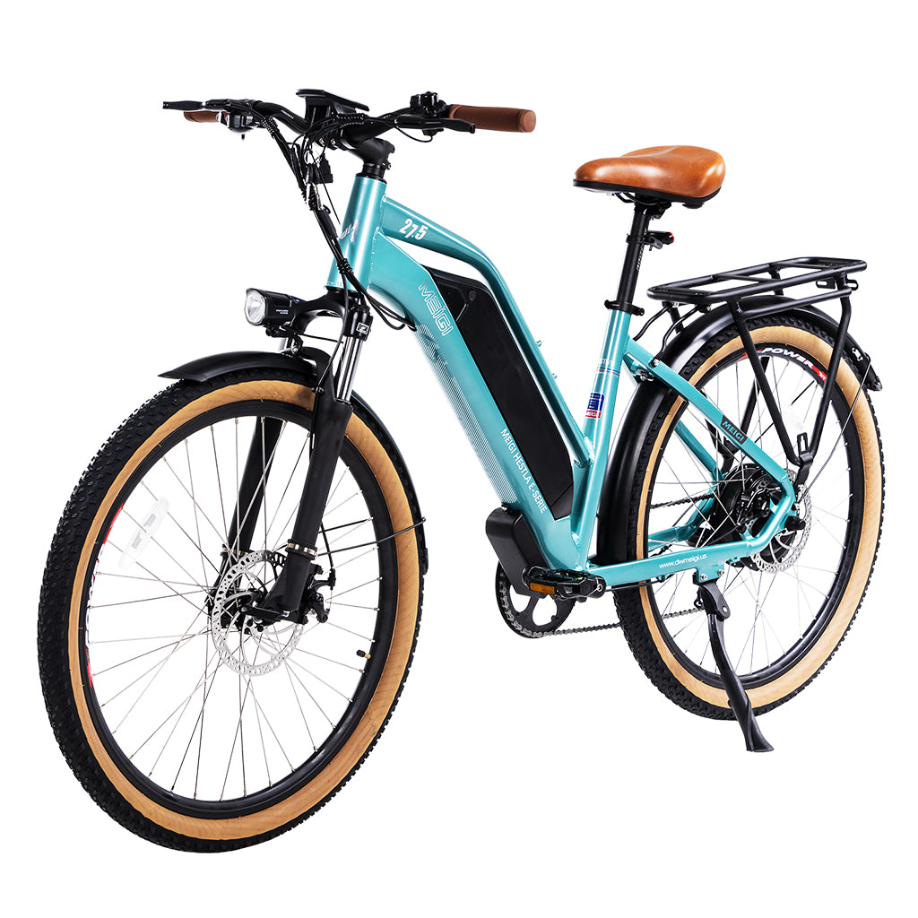 DWMEIGI Hestia 750W 48V-13Ah Step Through Electric Commuter Bike