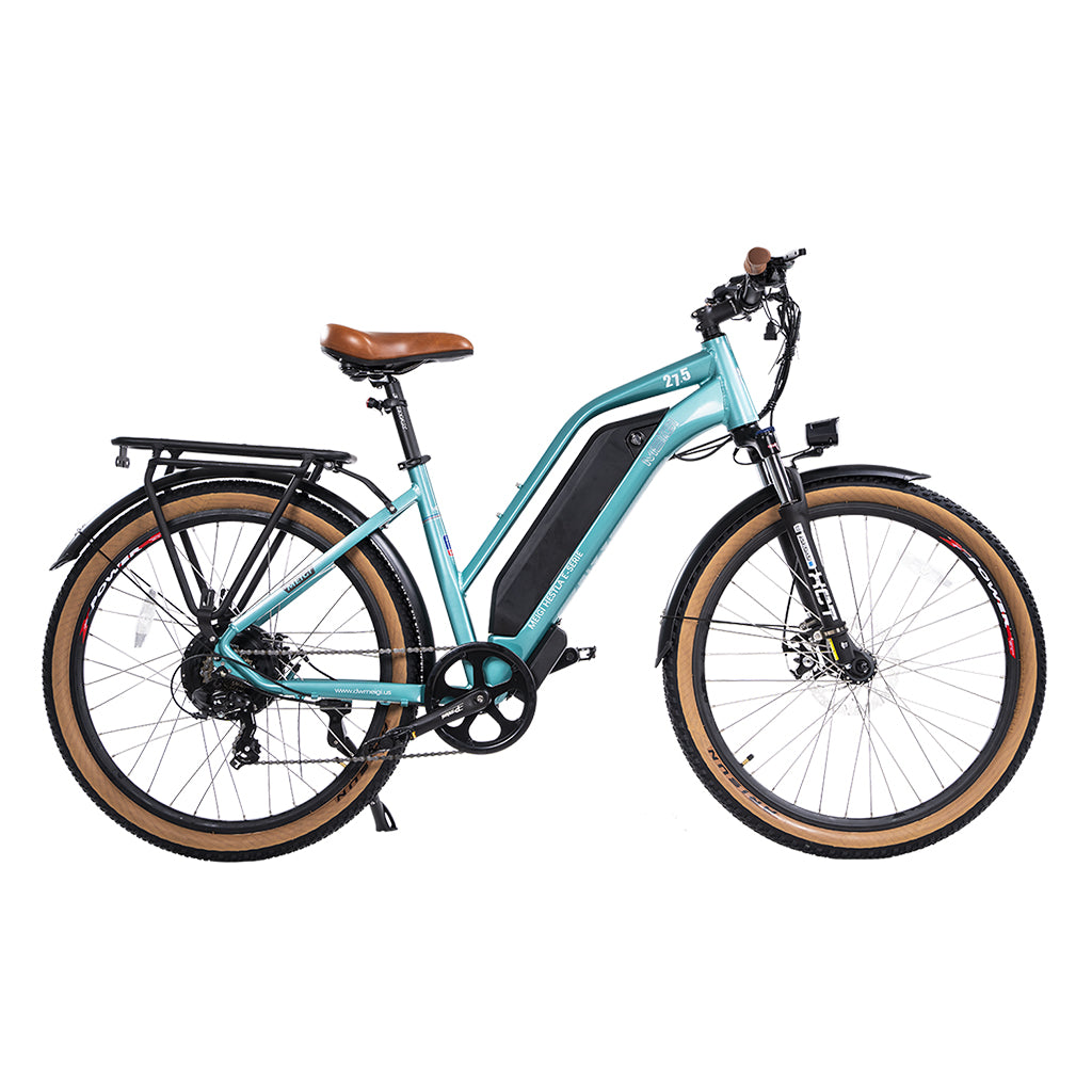 dame e bike DWMEIGI Hestia 750W 48V/13Ah Step Through Electric Commuter Bike