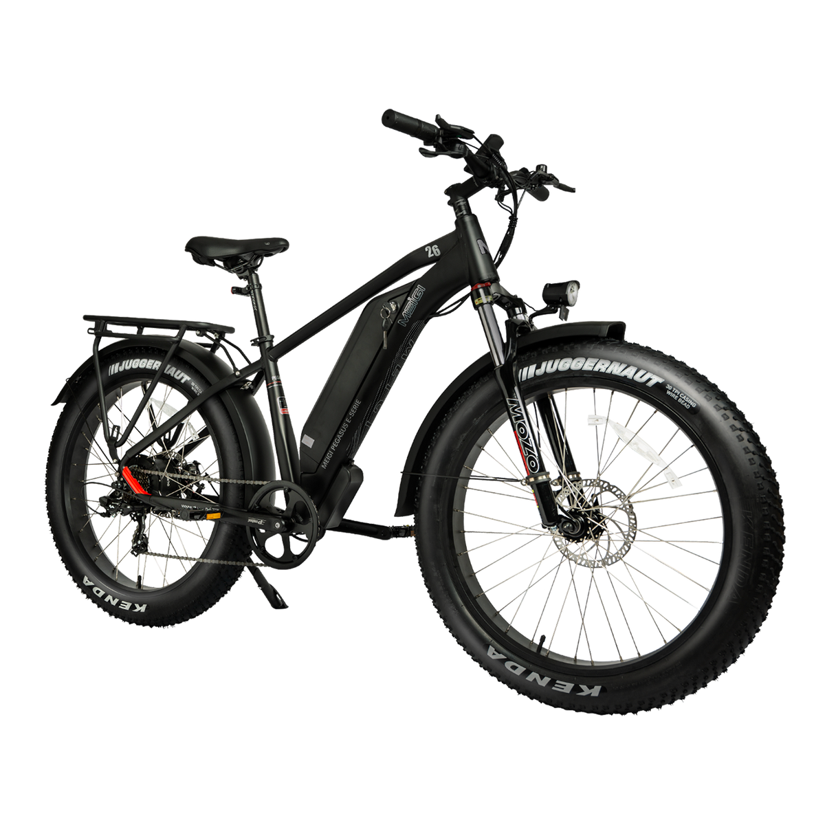 DWMEIGI Pegasus 750W 48V16Ah All Terrain Step-Over Fat Tire Mountain Electric Bike