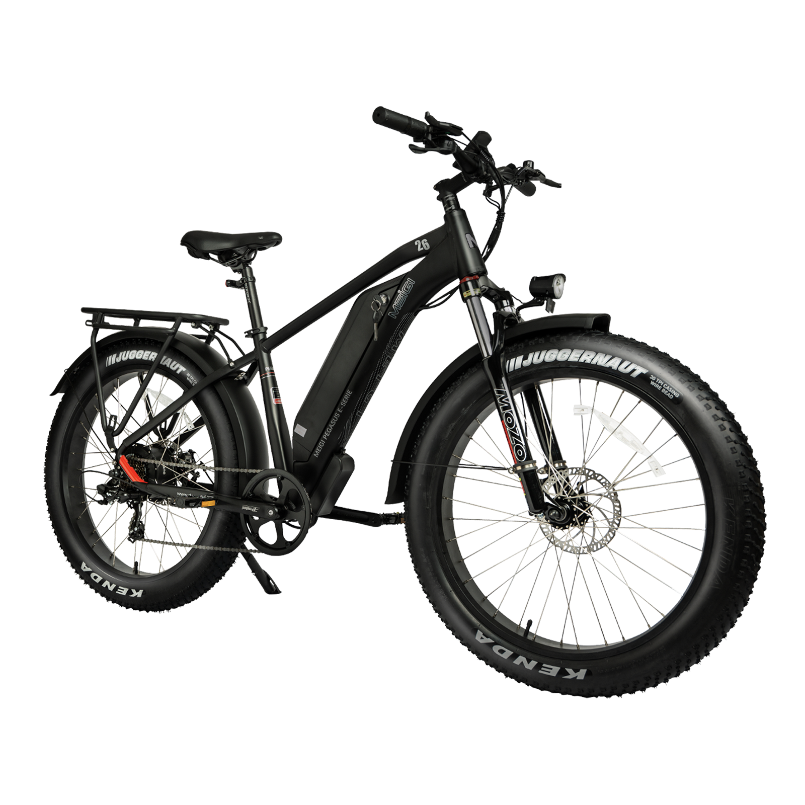DWMEIGI Pegasus 750W 48V16Ah All Terrain Step-Over Fat Tire Mountain Electric Bike