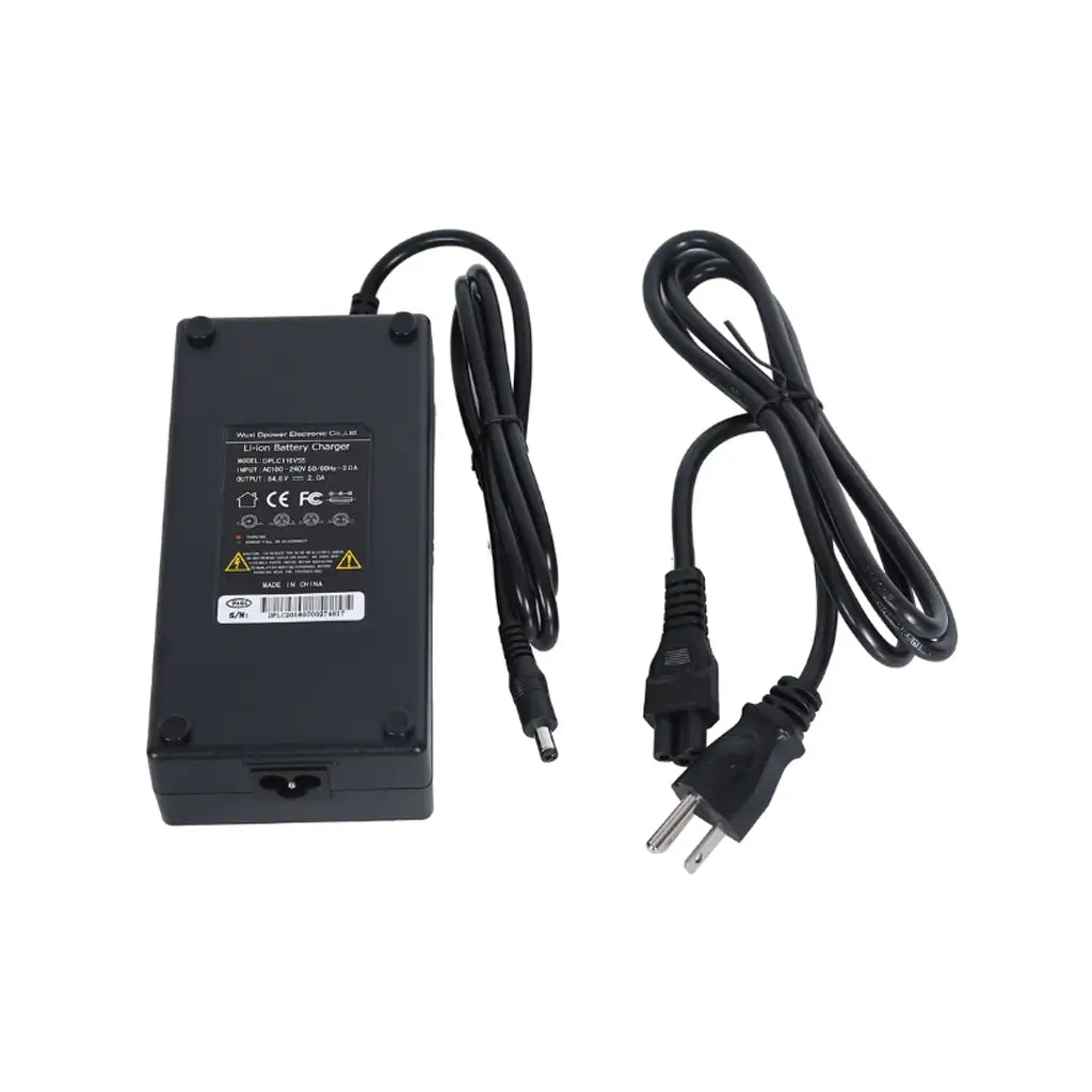 Ecotric Seagull, Tornado and Bison Charger Back