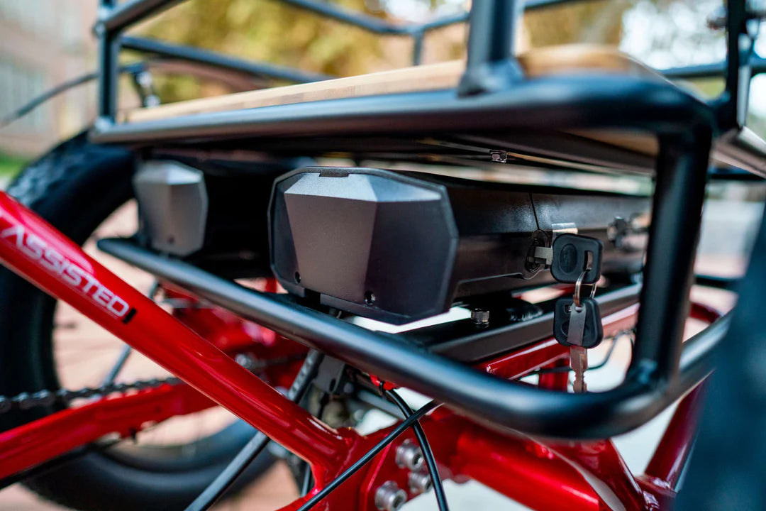 Emojo Bison Pro Adult 3 wheel Electric Folding Tricycle 750W 48V