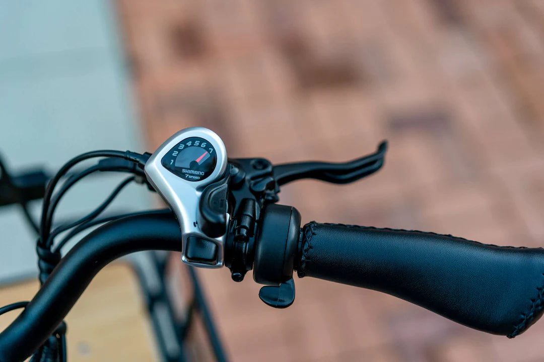 Emojo Bison Pro Adult 3 wheel Electric Folding Trike 750W 48V