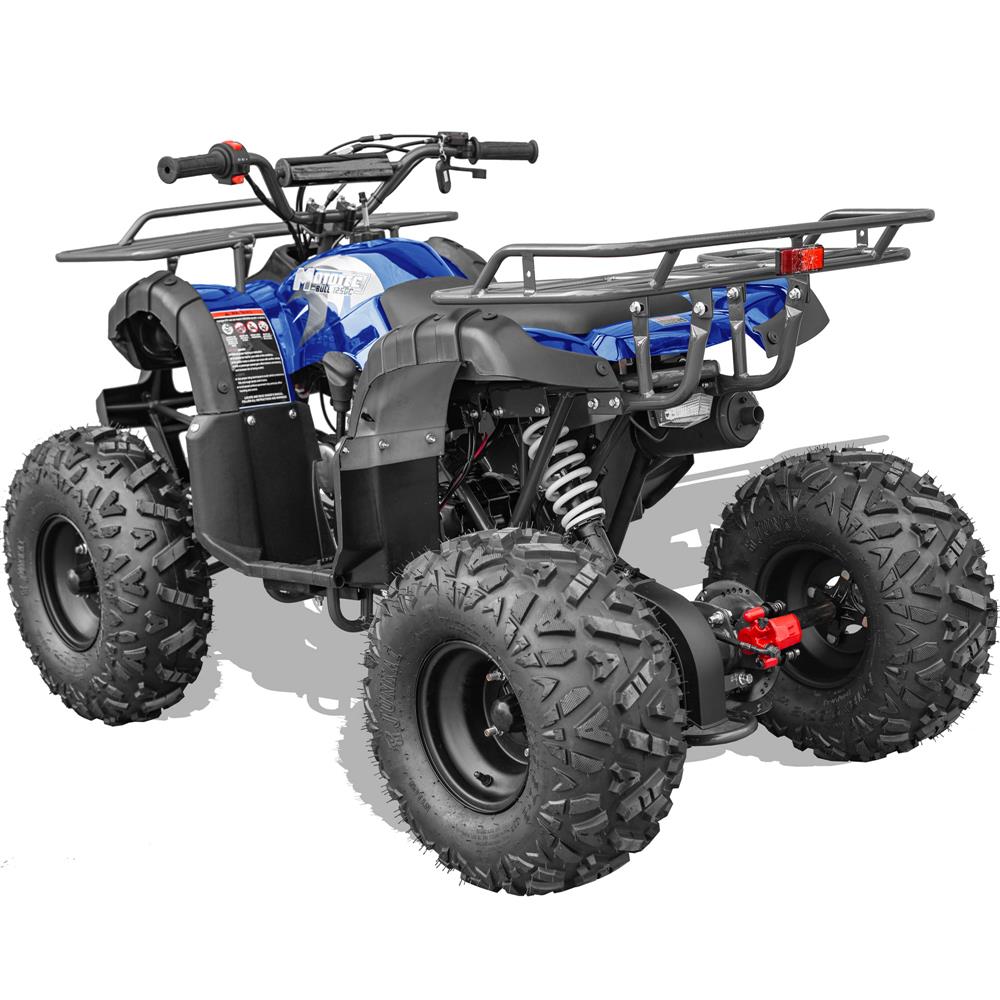 Kids gas 2024 powered atv