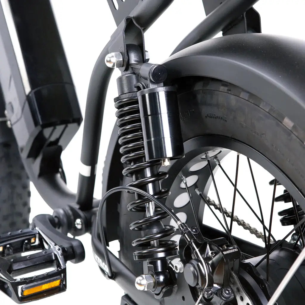 Nakto F2 Cruiser 750W 48V Electric Bike Front and Back Suspension
