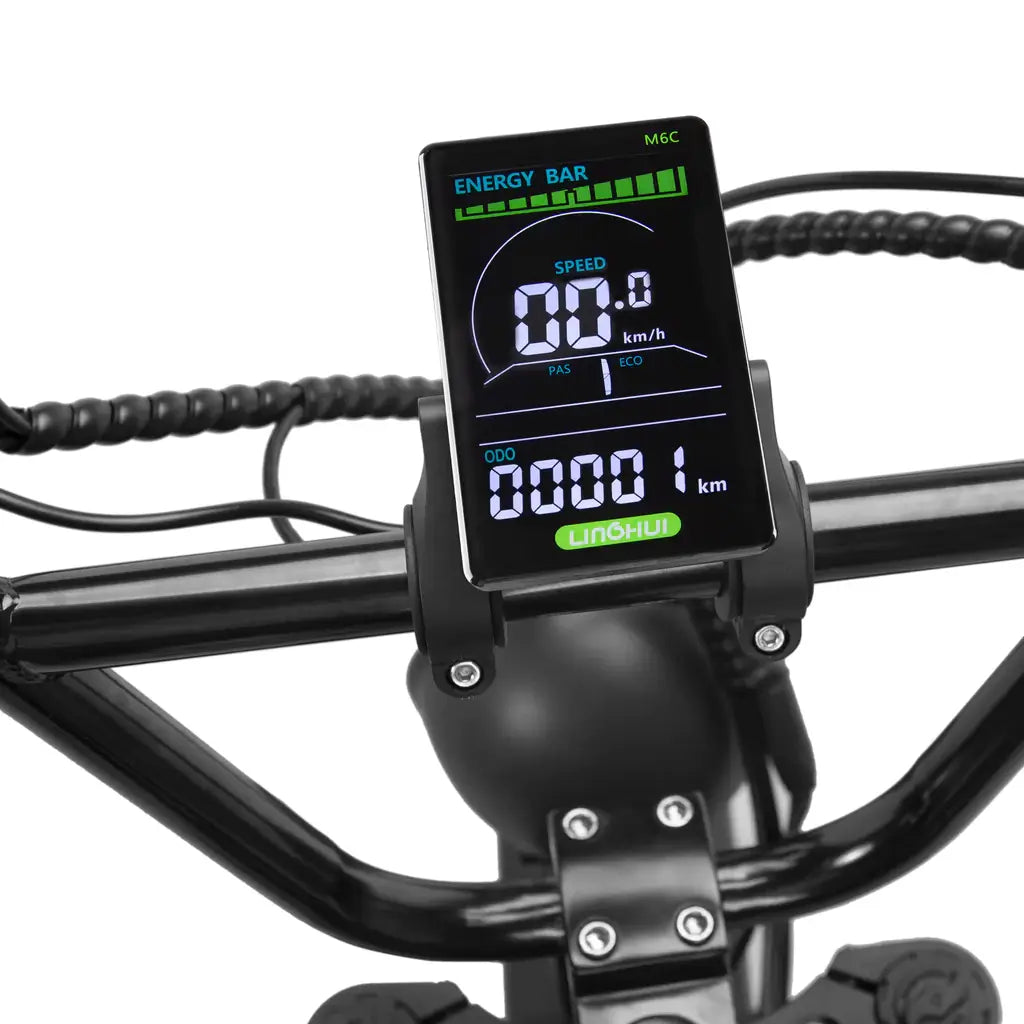 Nakto F2 Cruiser 750W 48V Electric Bike Colored LCD display