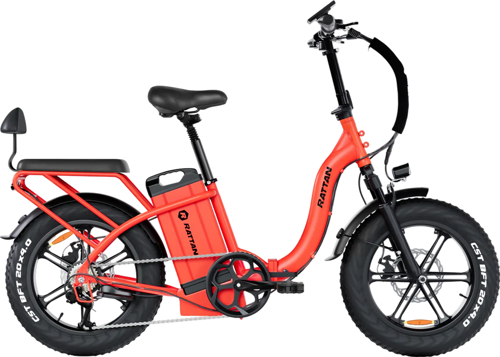 veego 750 electric bicycle Rattan LF Ultra Step-Thru Fat Tire, 1000W 48V Folding Electric Bike