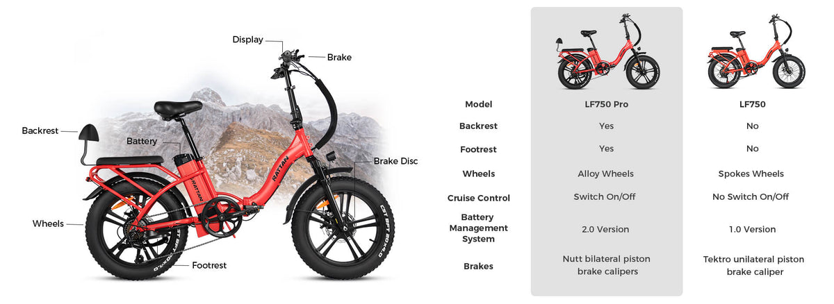 Rattan LM 750 PRO Folding 750W 48V Fat Tire Electric Bike Zoom Electric Bikes