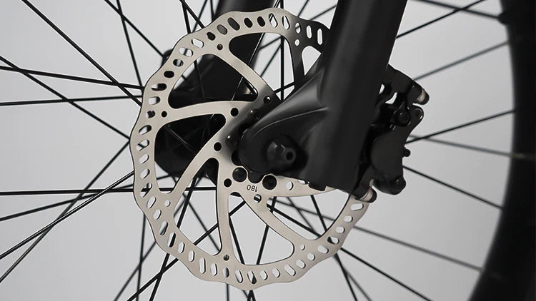 Rattan Pathfinder 750W 48V Mountain Electric Bike Gearing