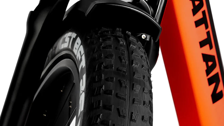 Rattan Pathfinder 750W 48V Mountain Electric Bike Whel