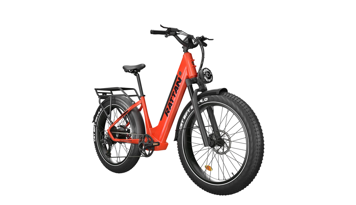 Rattan Pathfinder ST 750W 48V Mountain Electric Bike